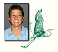 Deb Steward