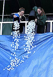 Golf Ball Race